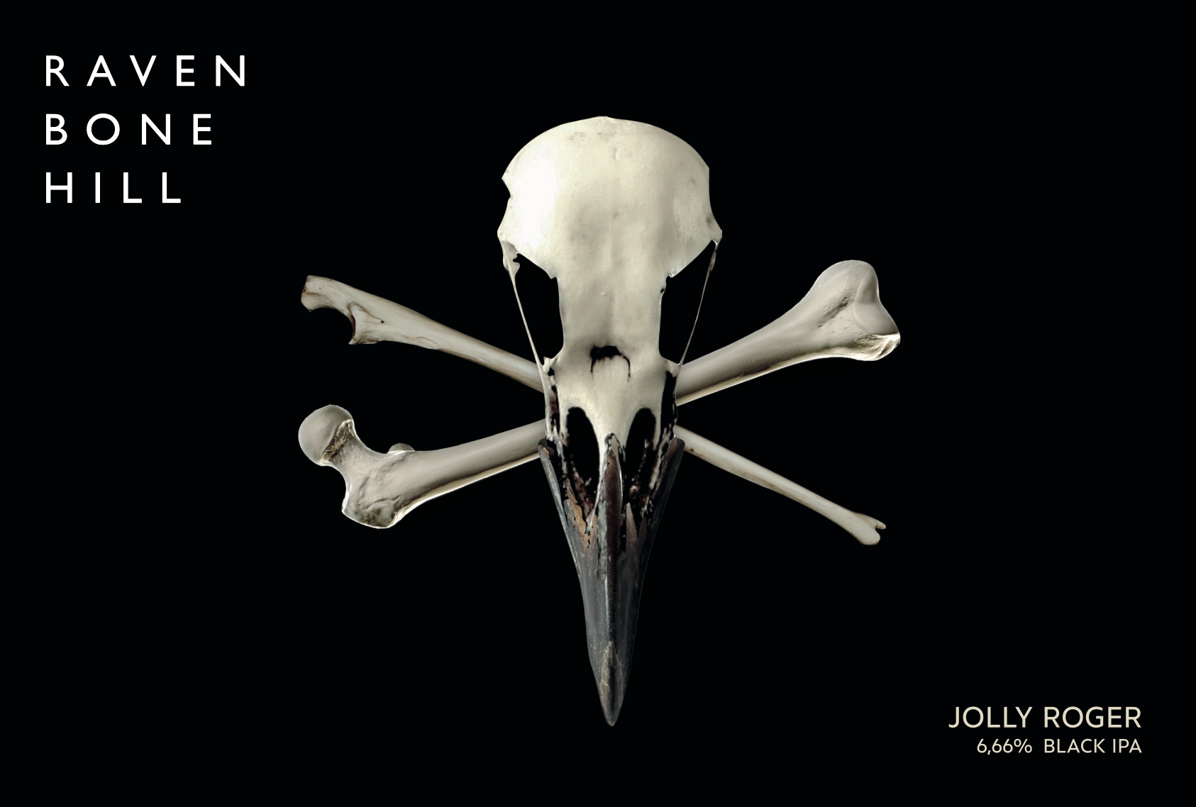 Design Project 2